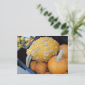 Warted Pumpkin Briefkaart (Staand voorkant)