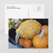 Warted Pumpkin Briefkaart (Voorkant / Achterkant)
