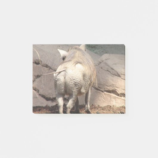 Warthog Behind Post-it® Notes (Voorkant)