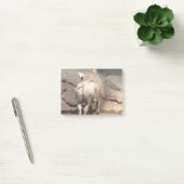 Warthog Behind Post-it® Notes (Kantoor)