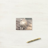 Warthog Behind Post-it® Notes (Op bureau)