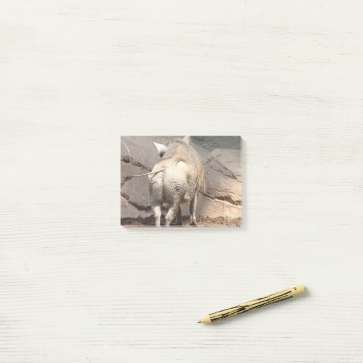 Warthog Behind Post-it® Notes (Op bureau)