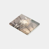 Warthog Behind Post-it® Notes (Schuin)