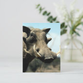Warthog Close-up Briefkaart (Staand voorkant)