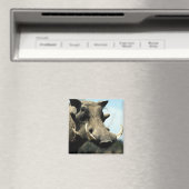 Warthog Close-up Magneet (Insitu (Vaatwasser))