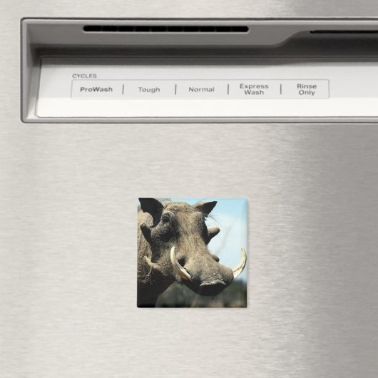 Warthog Close-up Magneet (Insitu (Vaatwasser))