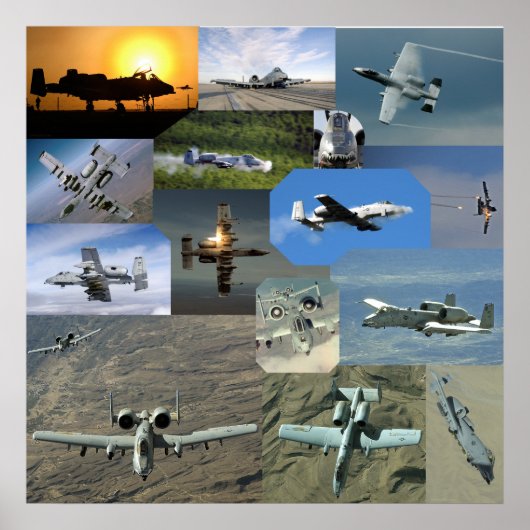 Warthog collectie poster (Voorkant)