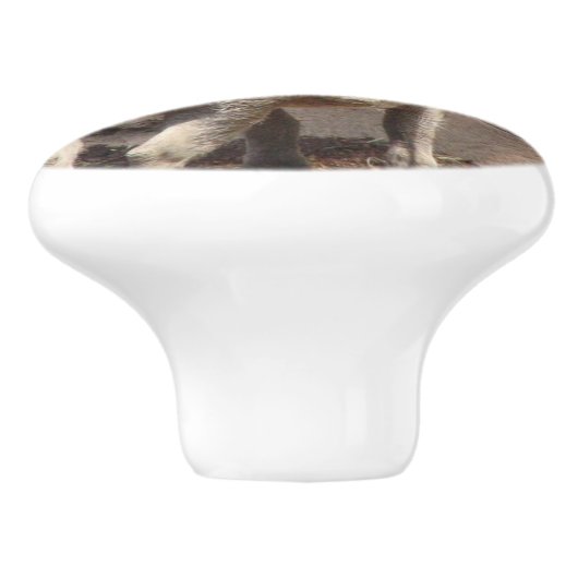 Warthog Keramische Knop (Zijkant)