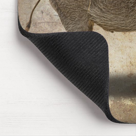 WARTHOG MUISMAT (Hoek)