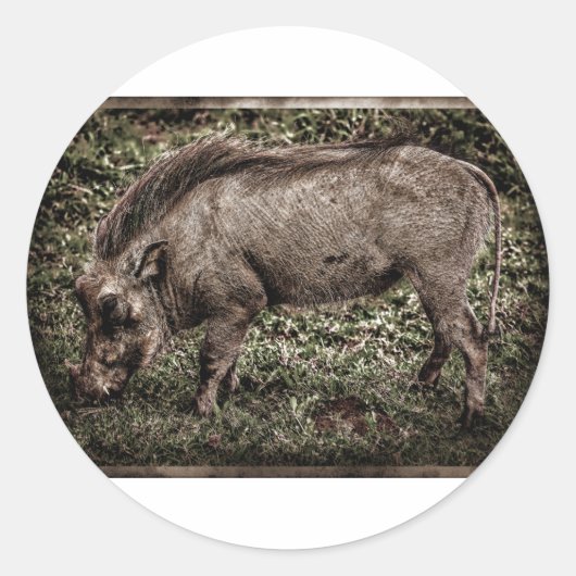 Warthog. Ronde Sticker (Voorkant)
