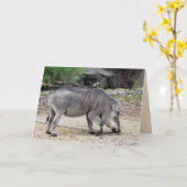 Warthog Wenskaart Kaart (Gele Bloem)