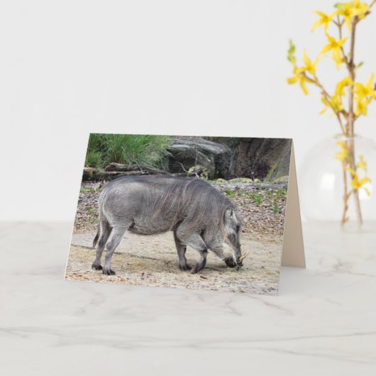 Warthog Wenskaart Kaart (Gele Bloem)