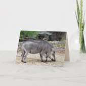 Warthog Wenskaart Kaart (Voorkant)