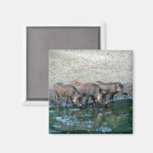 Warthogs Magneet (Voorkant / Achterkant)