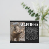 WARTHOGS met beschrijving Briefkaart (Staand voorkant)