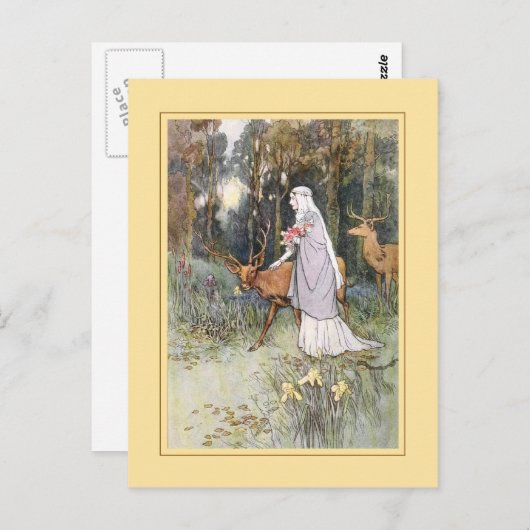 Warwick Gobel Briefkaart (Voorkant / Achterkant)