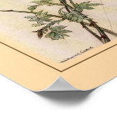 Warwick Gobel Poster (Hoek)