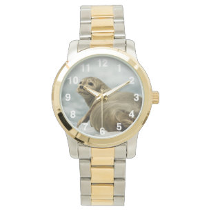 Wary Seal Horloge