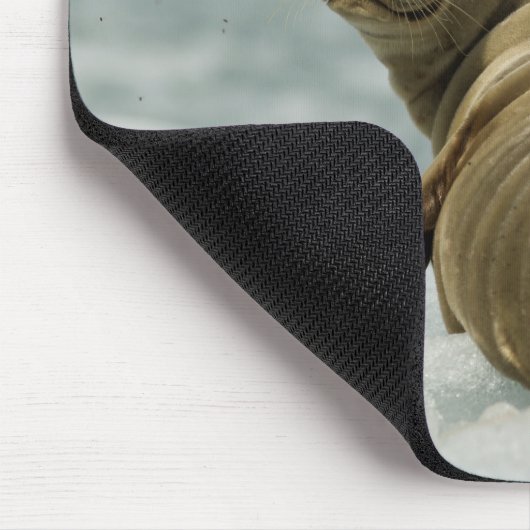 Wary Seal Muismat (Hoek)