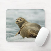 Wary Seal Muismat (Met muis)