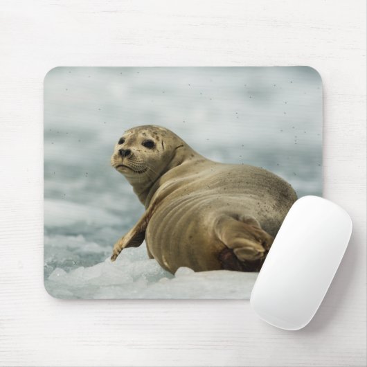 Wary Seal Muismat (Met muis)