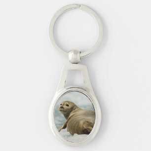 Wary Seal Sleutelhanger