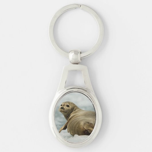 Wary Seal Sleutelhanger (Voorkant)