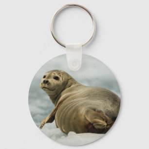 Wary Seal Sleutelhanger