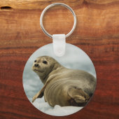 Wary Seal Sleutelhanger (Voorkant)