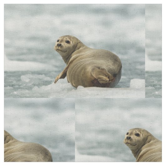 Wary Seal Stof (Close Up)