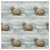 Wary Seal Stof (Swatch)