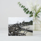 Was Ashore Briefkaart (Staand voorkant)