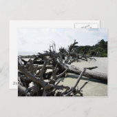 Was Ashore Briefkaart (Voorkant / Achterkant)