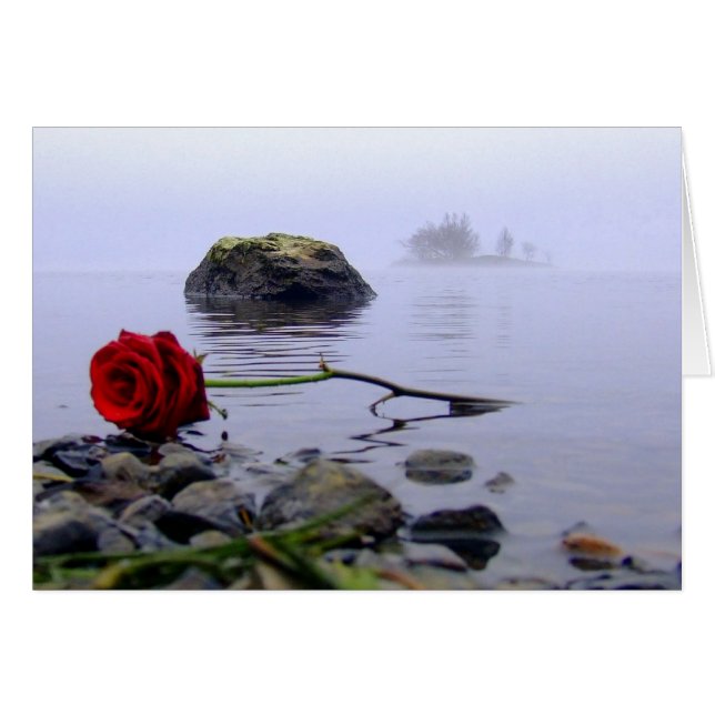 Was Ashore Red Rose (Voorkant Horizontaal)
