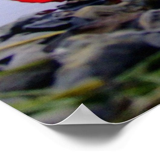 Was Ashore Red Rose Poster (Hoek)