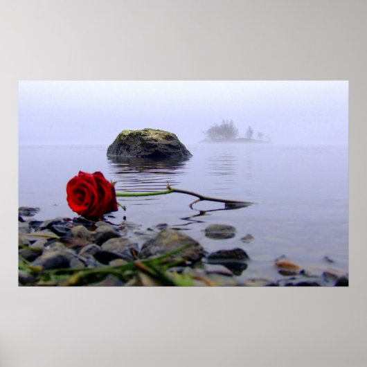 Was Ashore Red Rose Poster (Voorkant)
