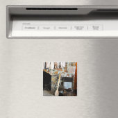 Was dag magneet (Insitu (Vaatwasser))