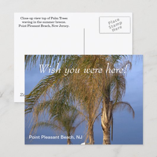 Was je maar hier Point Pleasant Beach NJ Briefkaart (Voorkant / Achterkant)