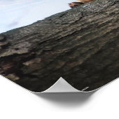 Was uw Poster met poten (Hoek)