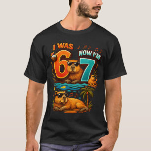 Was zes zeven 6 7 capybara 67 meme 7e verjaardag t-shirt