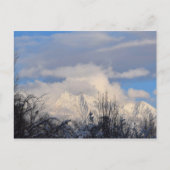 Wasatch Mountains - Utah - Briefkaart (Voorkant)