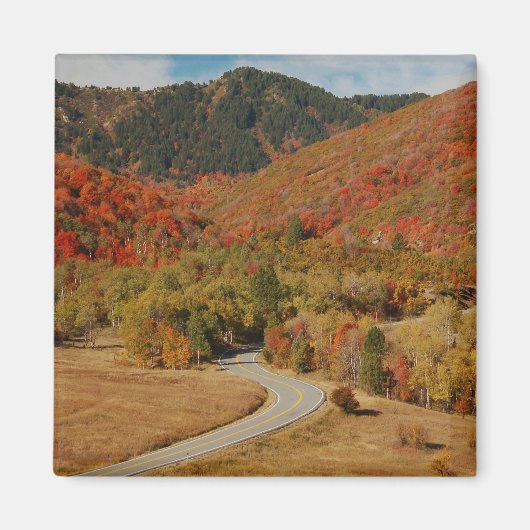 Wasatch Mountains, Utah Magneet (Voorkant)