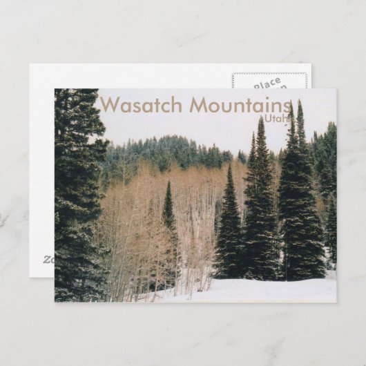 Wasatch Mountains Winter Scene Briefkaart (Voorkant / Achterkant)