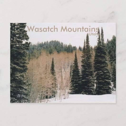 Wasatch Mountains Winter Scene Briefkaart (Voorkant)