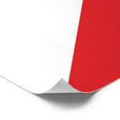 Wasbalballonnen voor carnaval poster (Hoek)