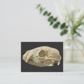 Wasbeenskelet Informatiekaartje (Staand voorkant)