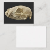 Wasbeenskelet Informatiekaartje (Voorkant / Achterkant)