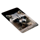 Wasbeer 004 magneet (Rechterzijde)