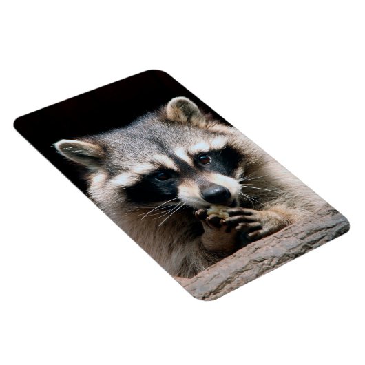 Wasbeer 004 magneet (Rechterzijde)