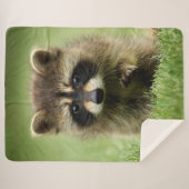 WASBEER BABY SHERPA DEKEN (Voorkant (horizontaal))